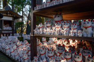 Lire la suite à propos de l’article Les meilleurs circuits au Japon : Votre guide ultime pour des aventures japonaises inoubliables en 2026