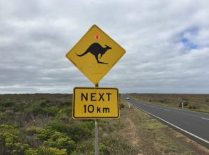 Lire la suite à propos de l’article Les Meilleures Choses à Faire en Australie : Le Guide Ultime des Attractions les Plus Spectaculaires d&rsquo;Australie