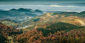 Lee más sobre el artículo Guía Completa de la Selva Negra: Naturaleza, Pueblos Encantadores y Rutas de Senderismo Imprescindibles