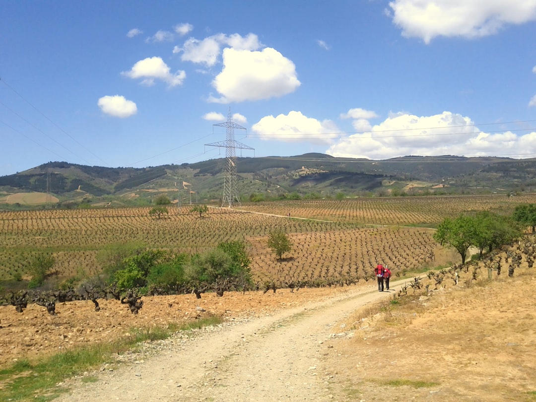 En este momento estás viendo Guía Completa del Camino de Santiago 2026: Todo lo que Necesitas Saber para tu Peregrinación