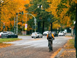 Lee más sobre el artículo Viajes Eco-Friendly en Alemania: Guía Completa para Turismo Sostenible en 2024
