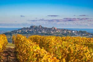 Read more about the article Wine Tasting in France: Your Complete Guide to an Unforgettable French Wine Experience
