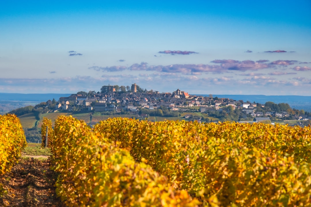 You are currently viewing Wine Tasting in France: Your Complete Guide to an Unforgettable French Wine Experience