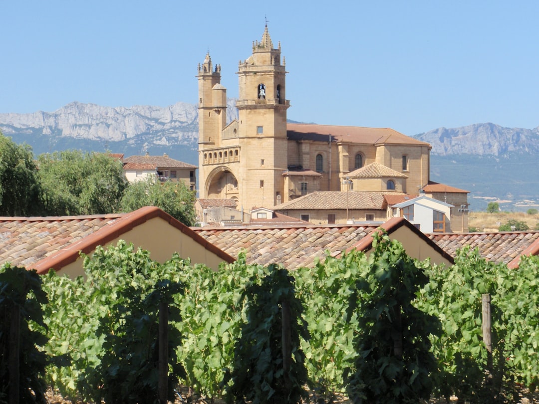 You are currently viewing Wine Tourism in Spain: Complete Guide to the Best Regions to Visit in 2026